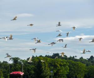 �촨�����ذ��ĸ�